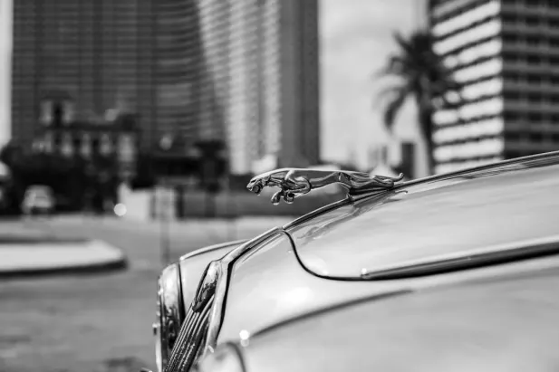 Casino Loyal Bet Android/iOS-app